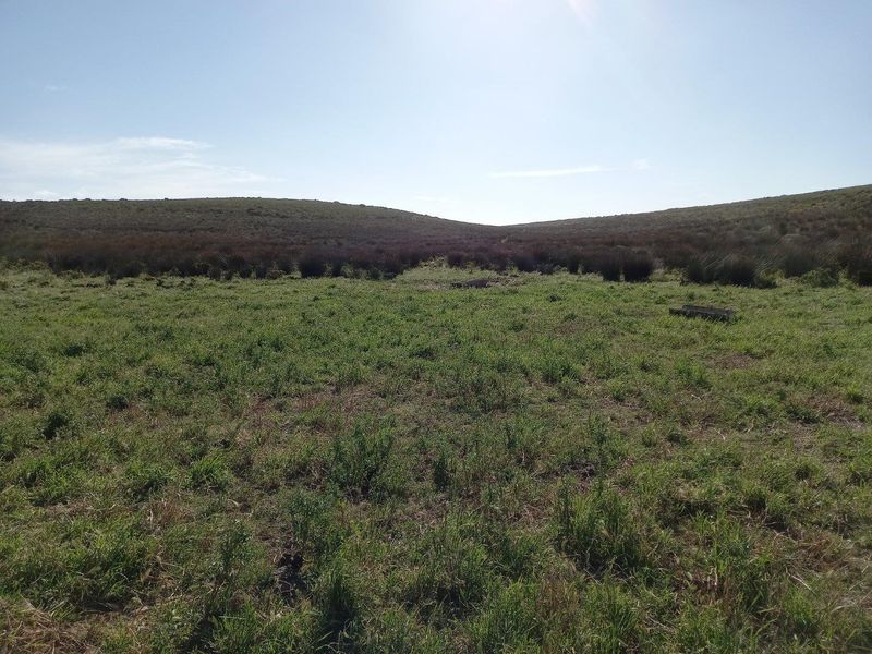 A wide-angle view of the open farm pasture and rolling hills under a clear sky.