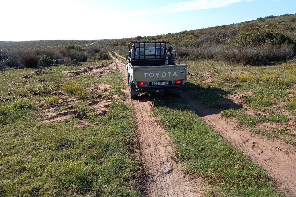 An unpaved dirt track traversing open veld or farmland landscape.