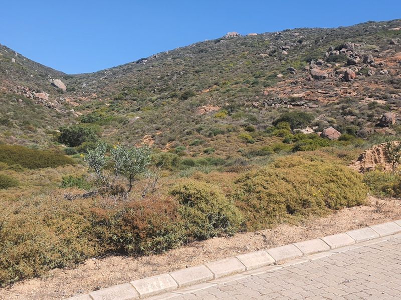 A view of the natural hillside terrain and indigenous vegetation adjacent to a paved road, showcasing the property's scenic landscape.