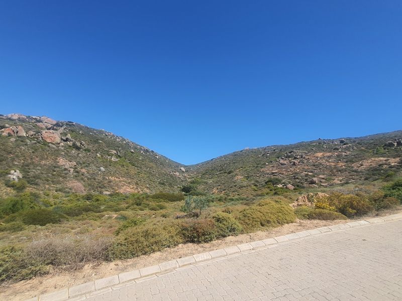 A scenic view of the natural landscape and hillside terrain, featuring a paved road and concrete curbing in the foreground.