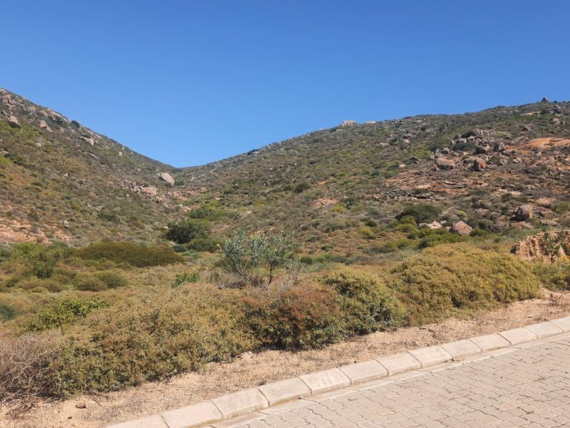 A scenic view of a natural, undeveloped hillside landscape adjacent to a paved residential road with concrete curbing.