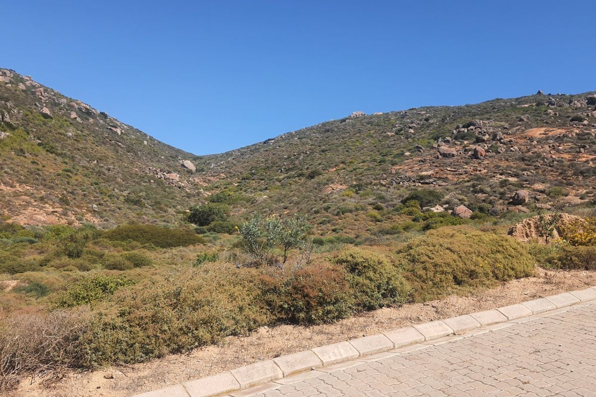 A scenic view of a natural, undeveloped hillside landscape adjacent to a paved residential road with concrete curbing.