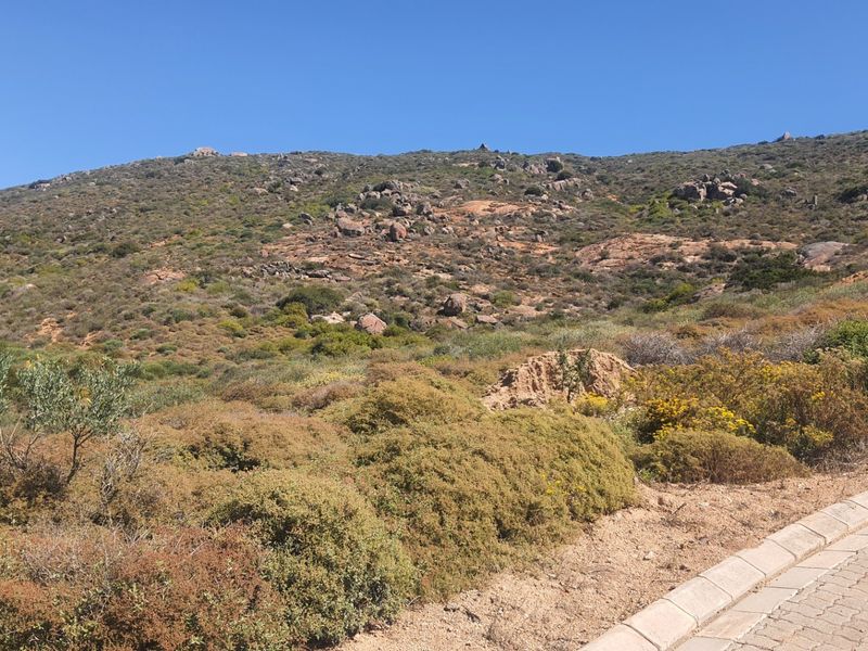 A view of the natural hillside landscape and paved verge adjacent to the vacant residential land.