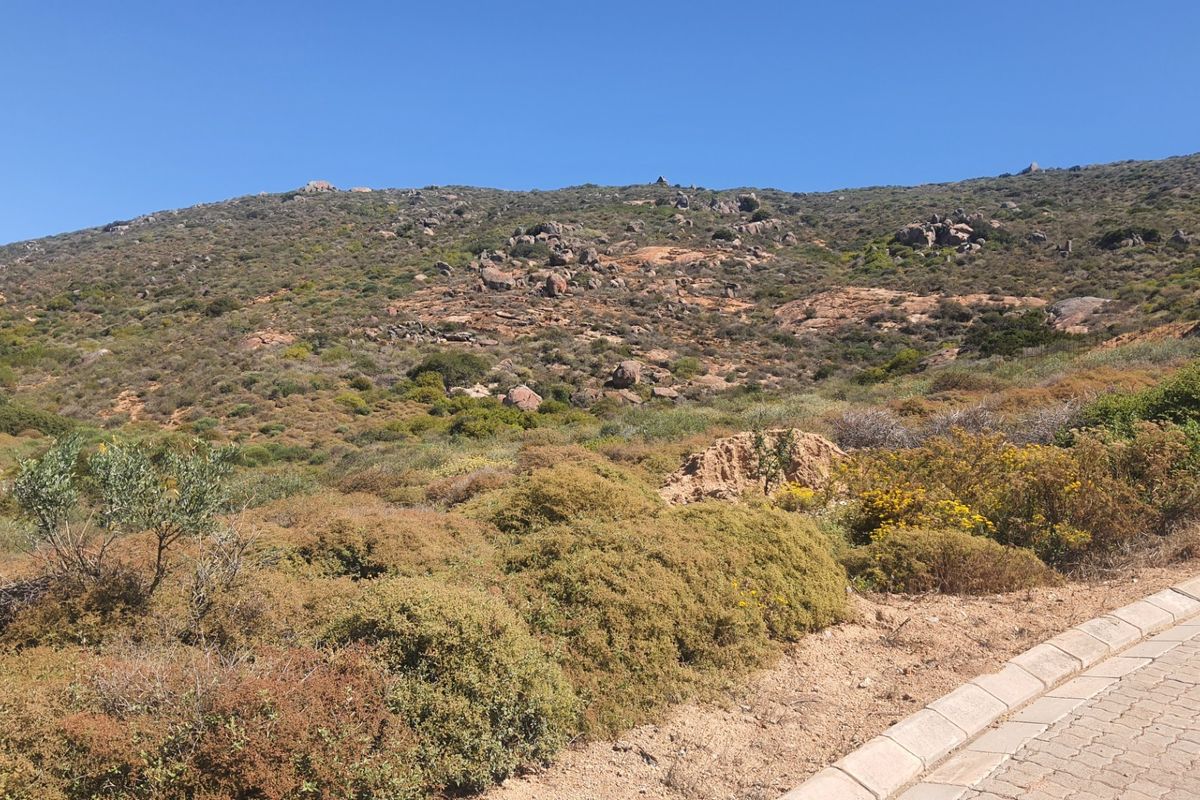 A view of the natural hillside landscape and paved verge adjacent to the vacant residential land.