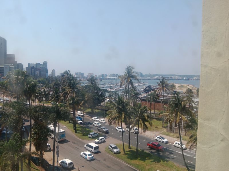 Elevated urban view overlooking the coastal road, palm trees, and the marina harbor area.