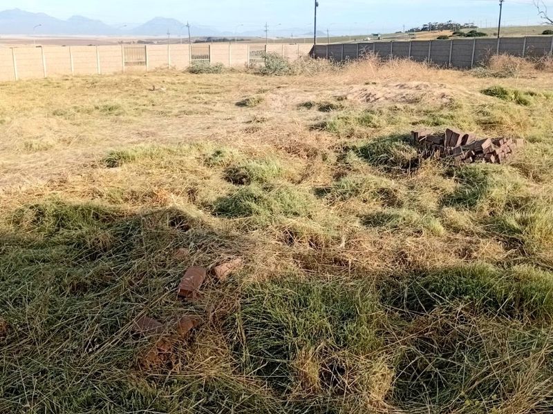 A large, undeveloped plot of land featuring overgrown grass, scattered debris, and a precast concrete boundary wall with distant mountain views.