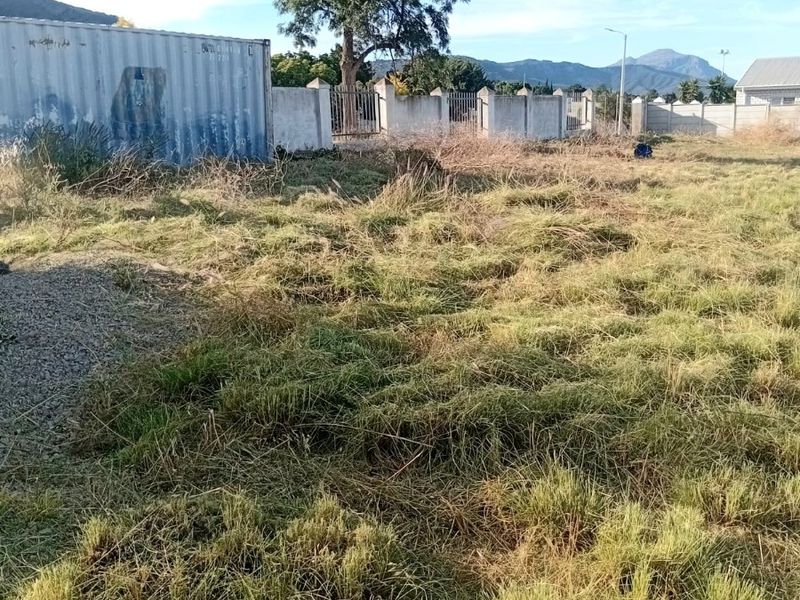An expansive, overgrown garden area featuring a perimeter wall, metal fencing, and a large shipping container on the property grounds.