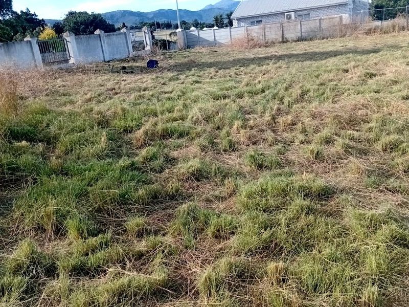 A large, undeveloped plot of land featuring overgrown grass, enclosed by a precast concrete boundary wall with a metal gate.