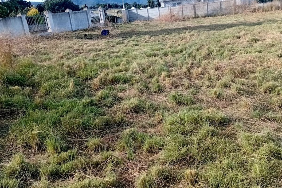 A large, undeveloped plot of land featuring overgrown grass, enclosed by a precast concrete boundary wall with a metal gate.