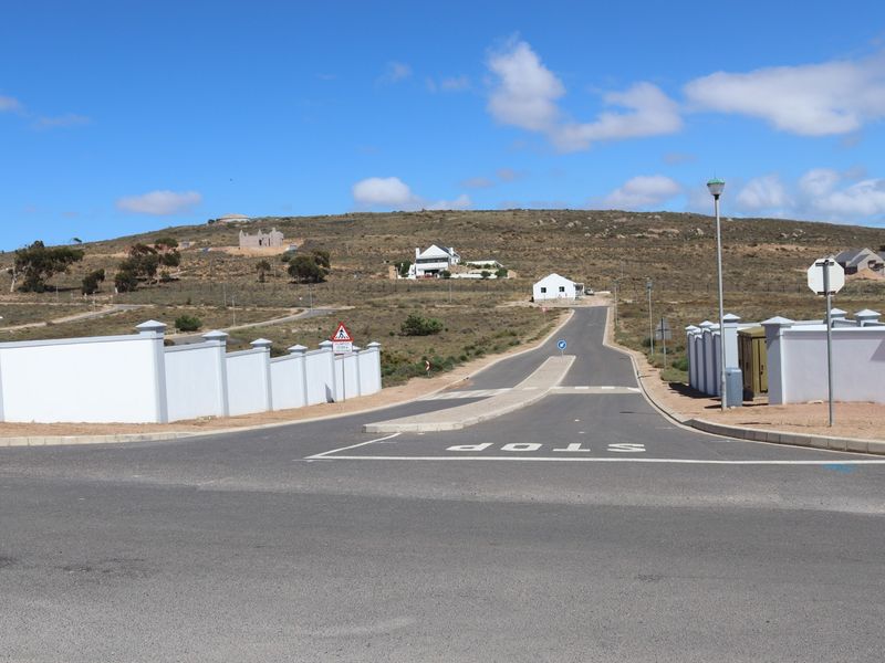 A view of the paved street and surrounding residential development infrastructure within the estate.