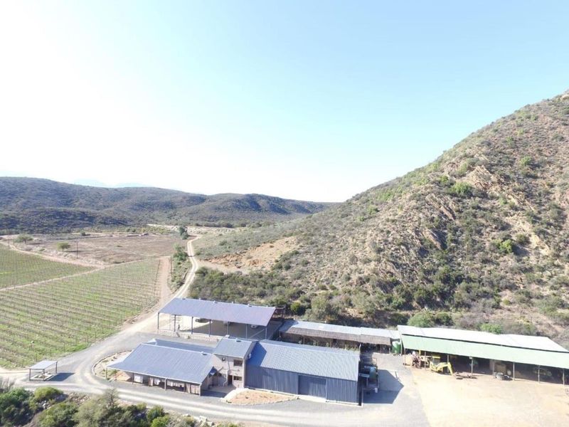 Aerial view of a farm property featuring multiple metal-roofed outbuildings, sheds, and an adjacent vineyard set against a mountainous landscape.