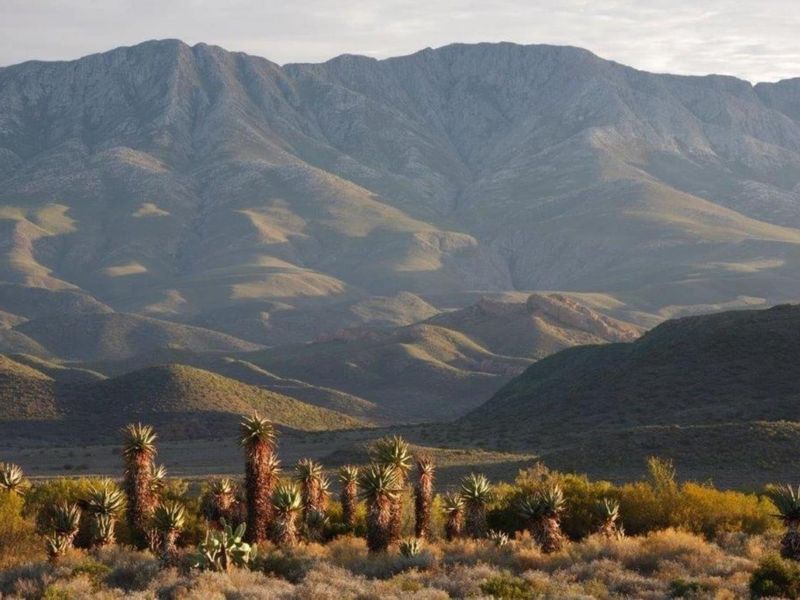 A scenic landscape view showcasing the expansive mountain range and natural vegetation characteristic of the farm property.