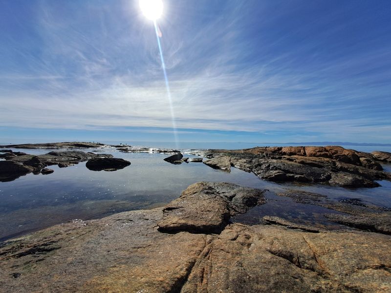 A scenic view of the rocky coastline and tidal pools, showcasing the natural landscape of the property.