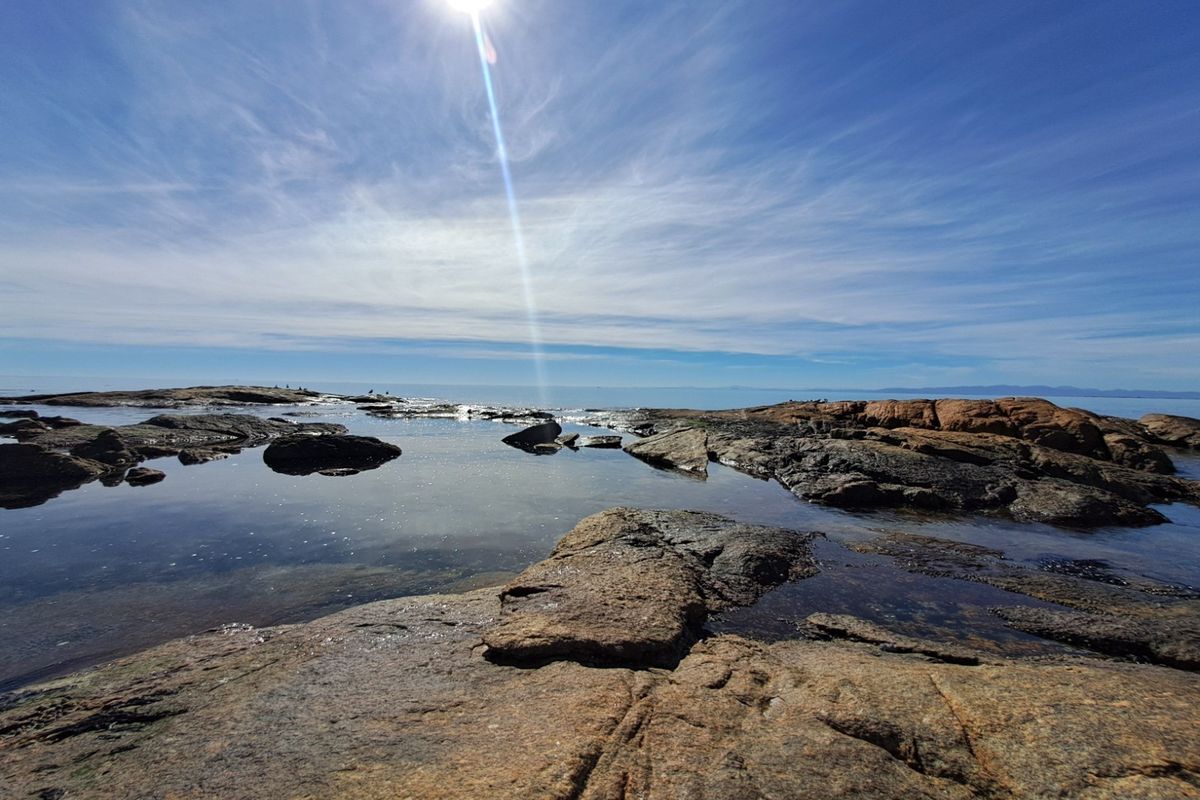 A scenic view of the rocky coastline and tidal pools, showcasing the natural landscape of the property.