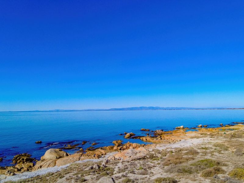A scenic view of the coastal landscape featuring a rocky shoreline and clear blue ocean waters.