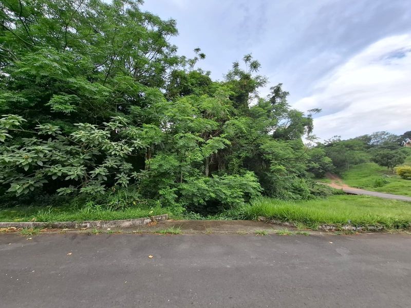 A view of a vacant residential plot featuring mature trees and vegetation, bordered by an asphalt road and concrete curb.