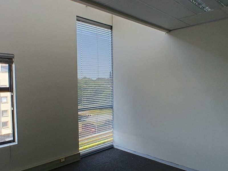 A bright, empty office space featuring carpeted flooring, a suspended ceiling with recessed lighting, and large windows with fitted venetian blinds.