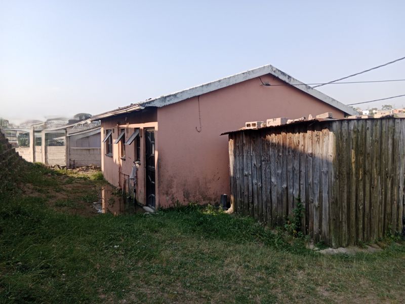 Rear view of the property showing the exterior wall, timber shed, and surrounding yard area with visible maintenance requirements.
