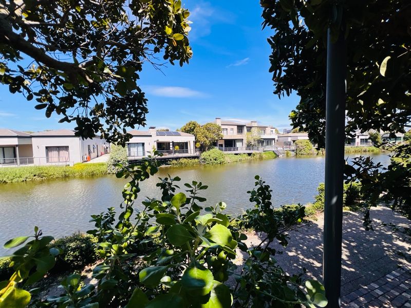 A scenic view overlooking a tranquil pond with surrounding residential townhouse properties and lush greenery.