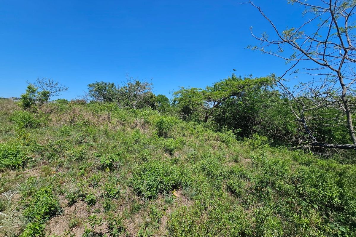 A view of the vacant residential land featuring natural vegetation and a gentle slope under a clear blue sky.
