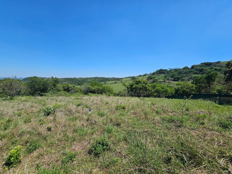 A scenic view of the natural landscape and surrounding greenery on this vacant residential plot.