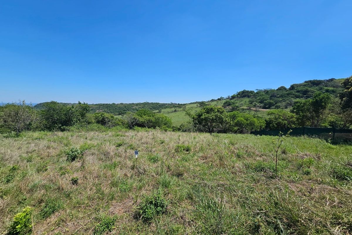 A scenic view of the natural landscape and surrounding greenery on this vacant residential plot.