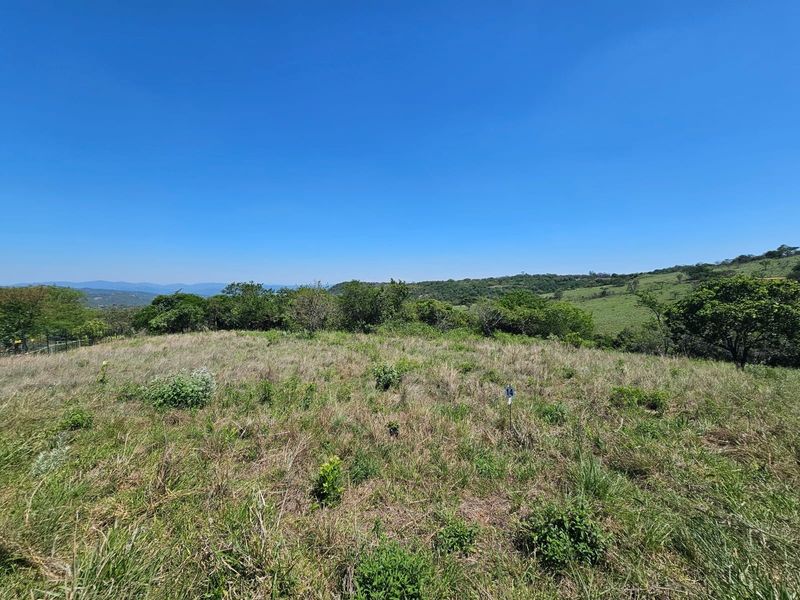A wide-angle view of the vacant residential land, showcasing the natural landscape, surrounding vegetation, and clear horizon.