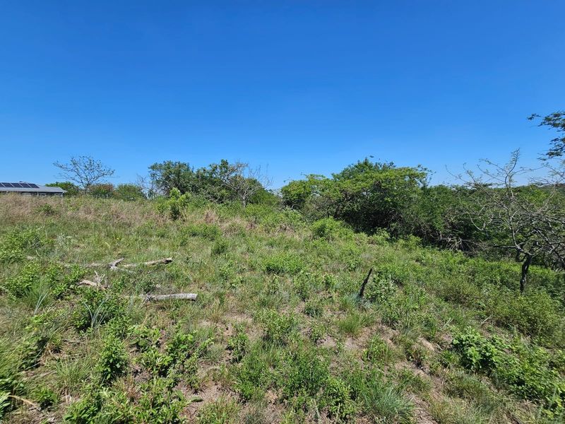 A view of a vacant residential plot featuring natural vegetation and sloped terrain under a clear blue sky.
