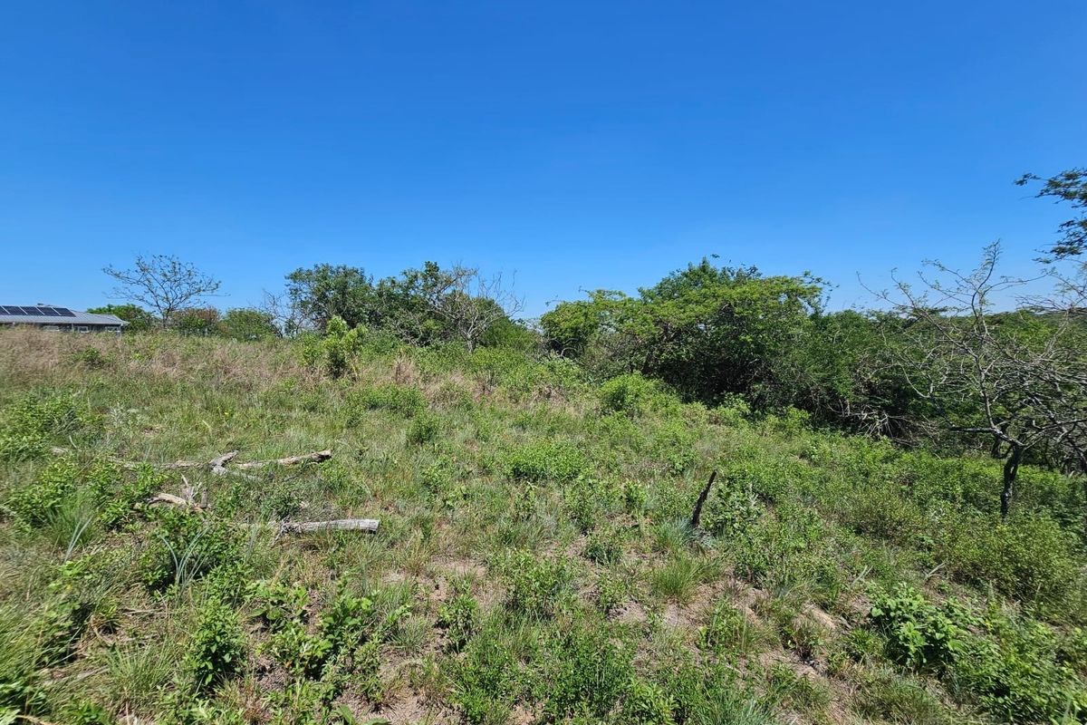 A view of a vacant residential plot featuring natural vegetation and sloped terrain under a clear blue sky.