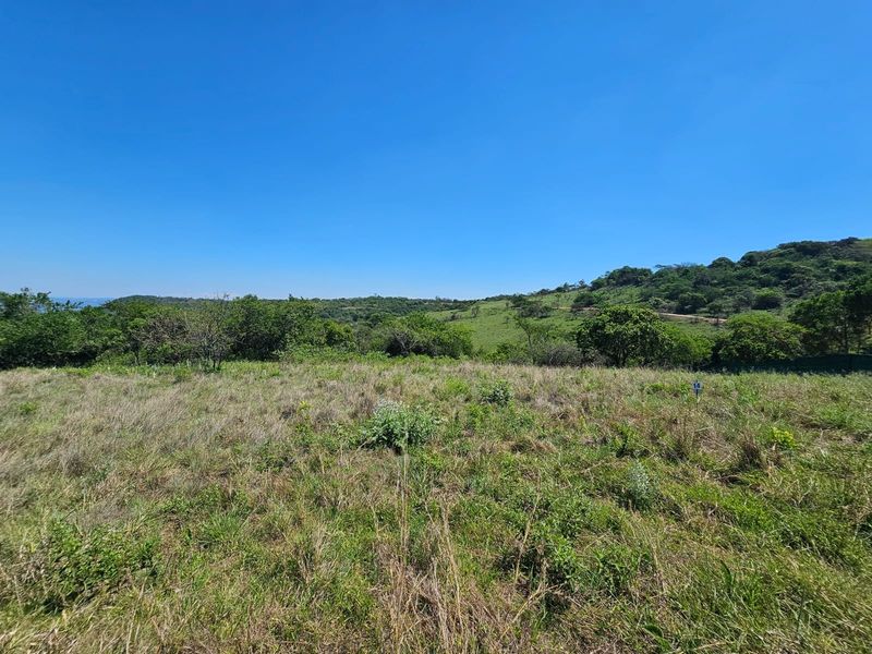 A scenic view of the vacant residential land featuring natural grass, native vegetation, and rolling hills under a clear blue sky.