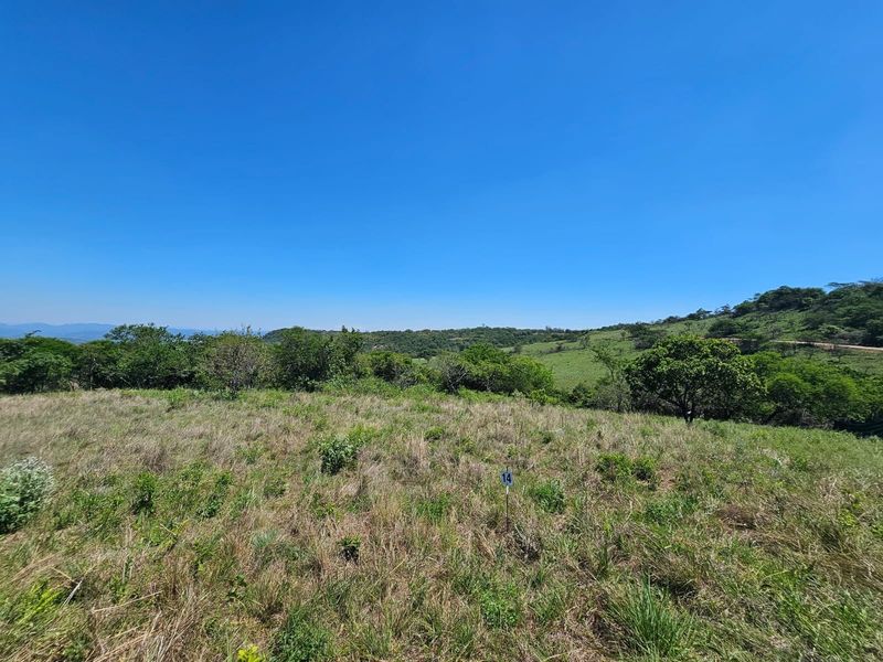 A scenic view of the vacant residential land featuring natural grass and surrounding native vegetation under a clear blue sky.