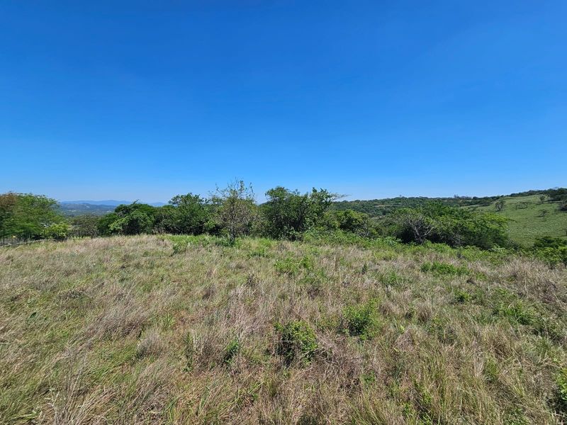 A wide-angle view of the vacant residential land featuring natural grass, native vegetation, and rolling terrain under a clear blue sky.