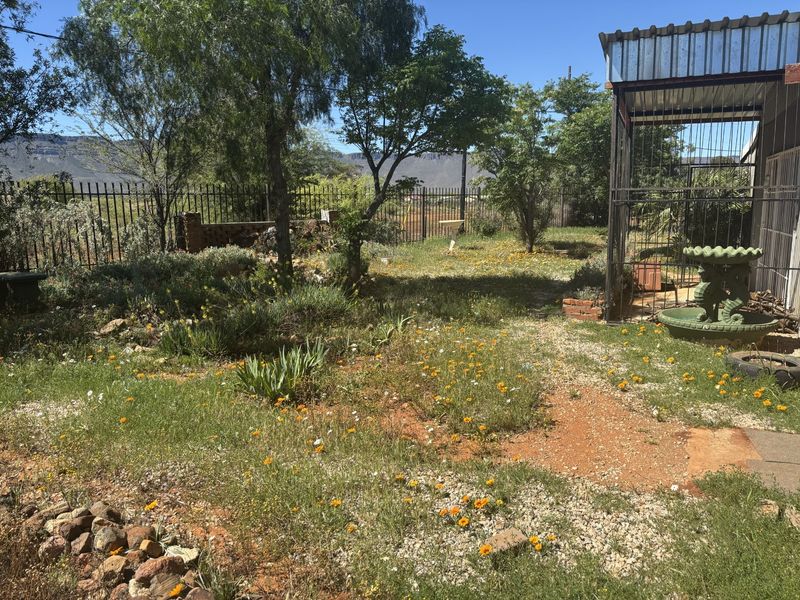 A spacious garden area featuring metal perimeter fencing, mature trees, and a covered outdoor structure, offering potential for landscaping and outdoor living development.