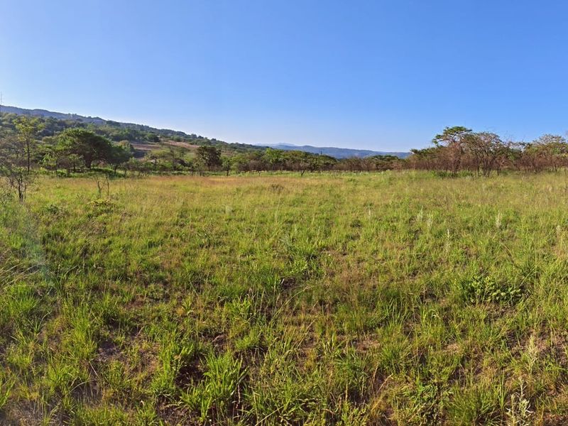 Vacant land amongst beautiful indigenous trees, ideal building site. - Photo 7