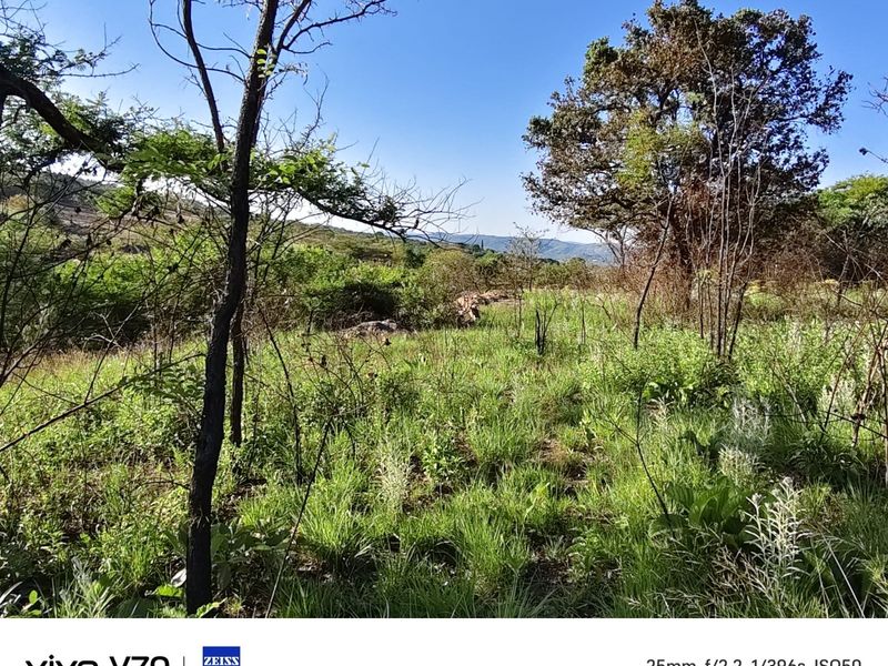 Vacant land amongst beautiful indigenous trees, ideal building site. - Photo 9