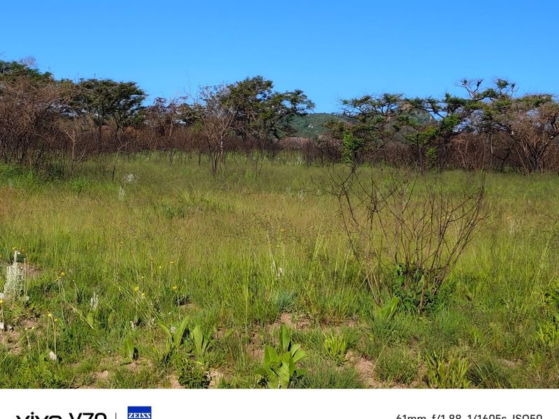 Vacant land amongst beautiful indigenous trees, ideal building site. - Photo 8