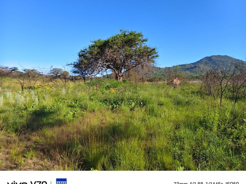 Vacant land amongst beautiful indigenous trees, ideal building site. - Photo 4