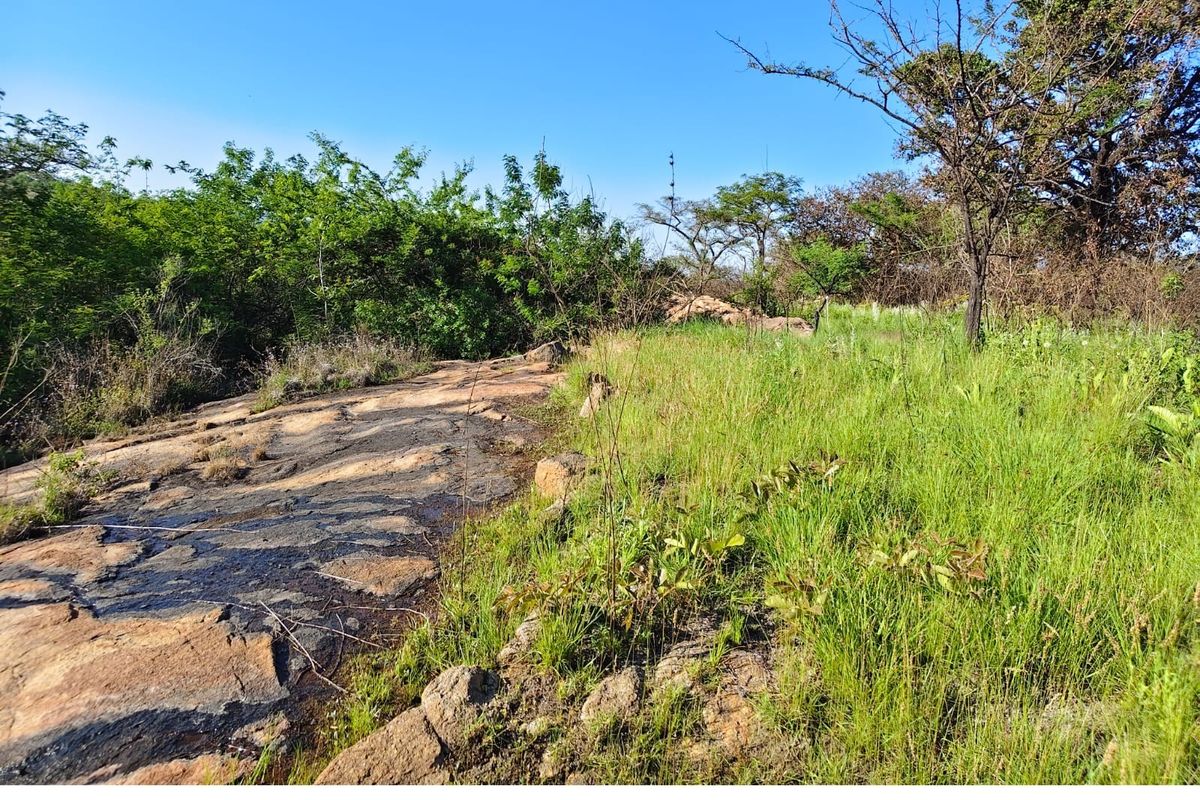 A natural landscape view featuring a prominent rock outcrop surrounded by indigenous grass and trees on the small holding property.