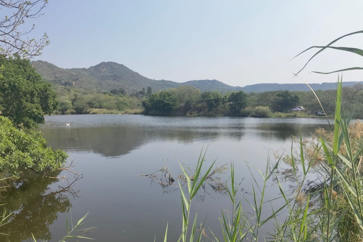 A scenic view of a natural lake surrounded by lush vegetation and a mountain range in the background.