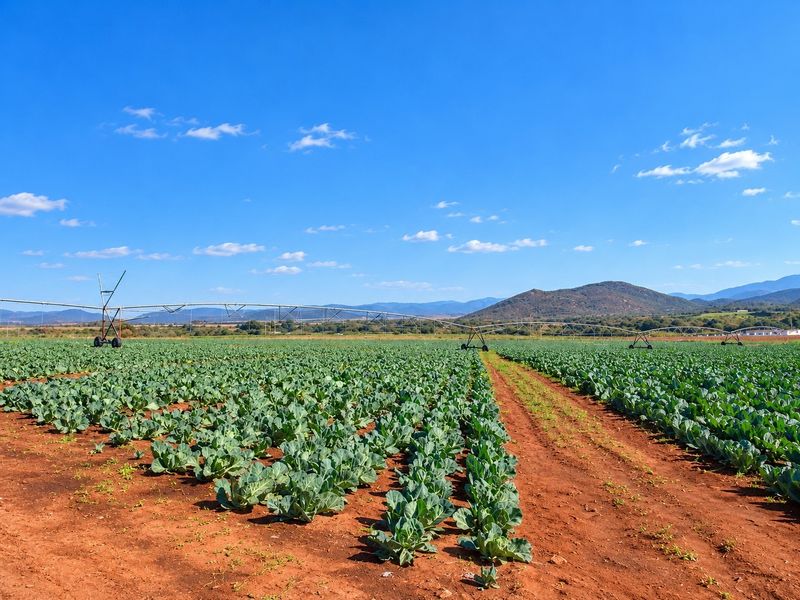 Exceptional 178.59 Hectares Irrigation Farm for Sale near Groblersdal - Photo 3