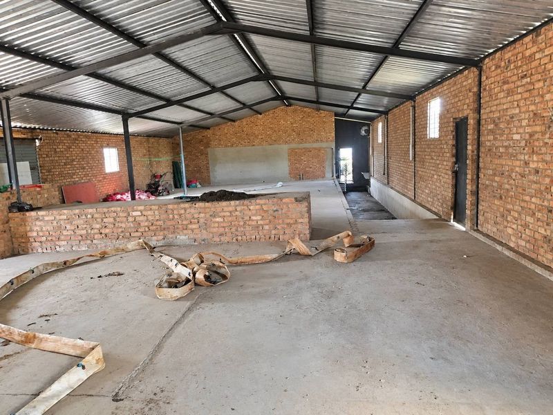 Productive 55Ha Agricultural Farm for Sale in Doornkraal, Cullinan - Photo 9