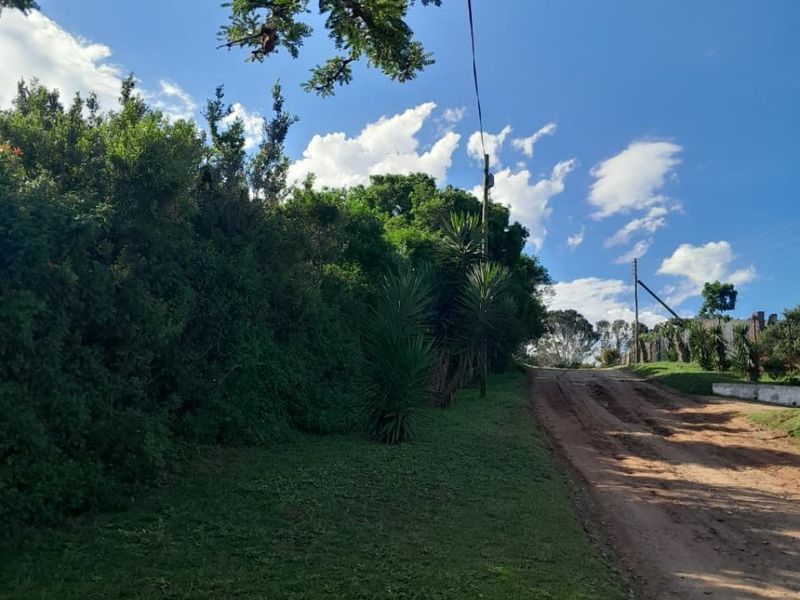 A view of an unpaved residential street with a grass verge, mature trees, and utility infrastructure under a clear blue sky.