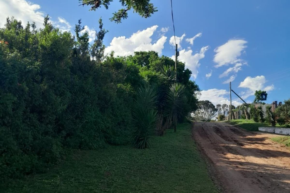 A view of an unpaved residential street with a grass verge, mature trees, and utility infrastructure under a clear blue sky.