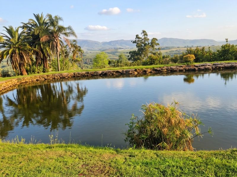 A scenic view of a tranquil farm pond with a stone retaining wall, surrounded by lush greenery and distant mountain ranges.