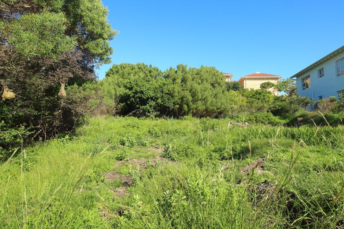 A view of a sloped, undeveloped residential plot featuring established trees and natural vegetation, adjacent to existing residential properties.