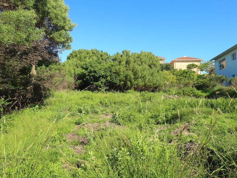 A view of a sloped, undeveloped residential plot featuring established trees and natural vegetation, adjacent to existing residential properties.