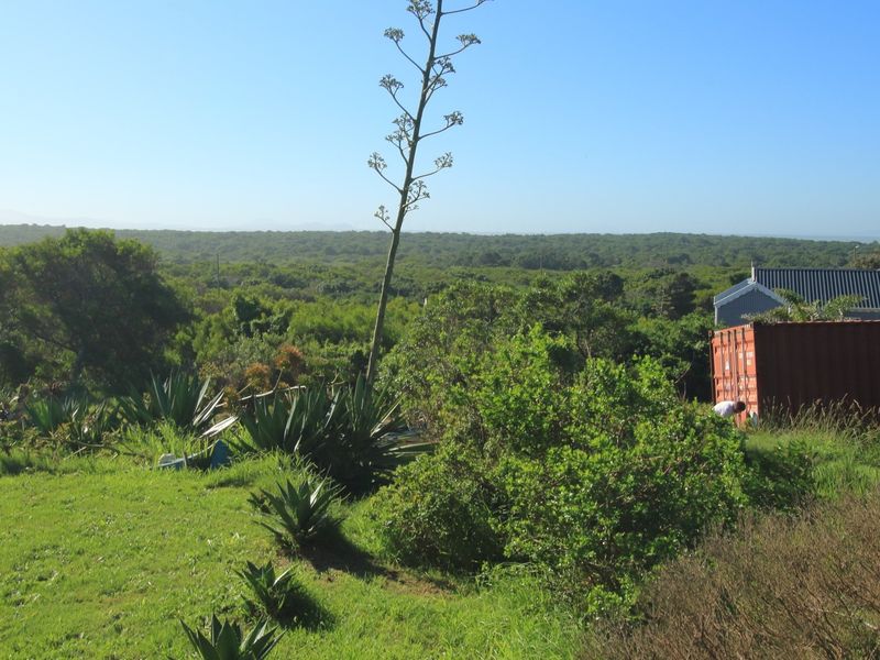 A scenic view of the surrounding natural landscape and vegetation on the residential vacant land.