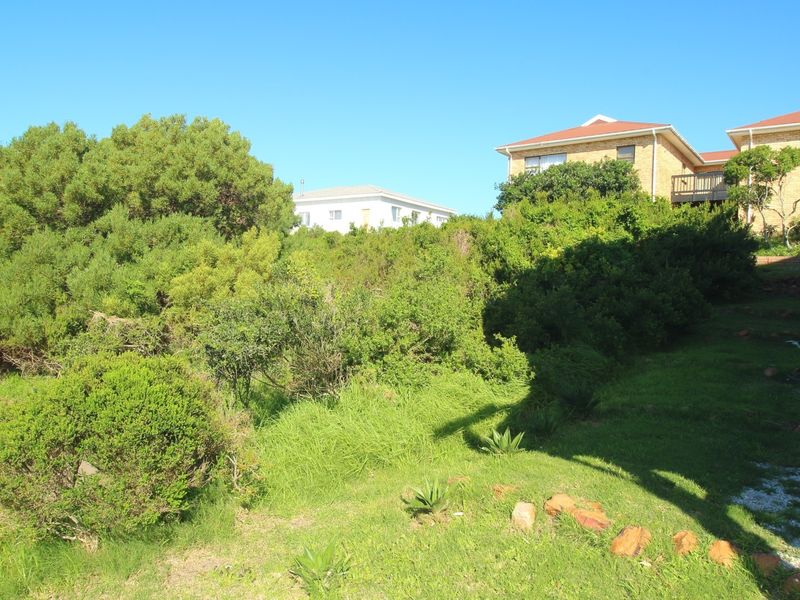 A view of the residential garden area featuring established greenery and lawn space, adjacent to the property structure.