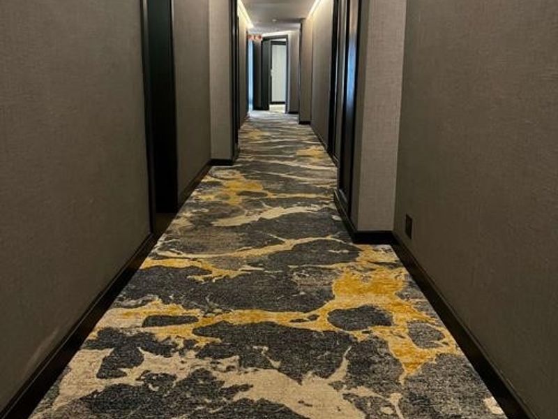 A modern, well-lit hallway featuring patterned carpeting, recessed ceiling lighting, and clean, dark-trimmed door frames.
