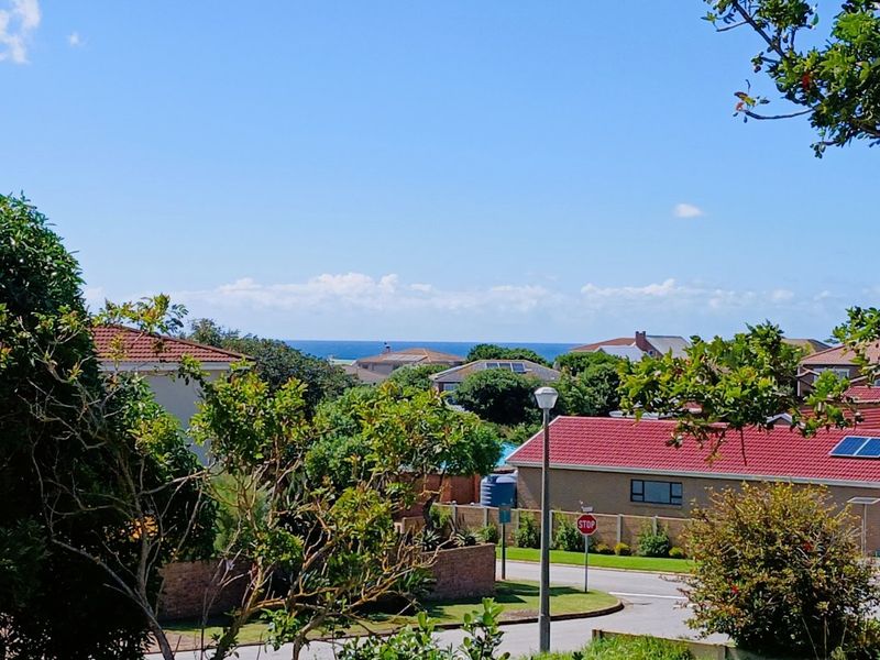 An elevated view overlooking a residential neighbourhood with a distant ocean horizon visible in the background.